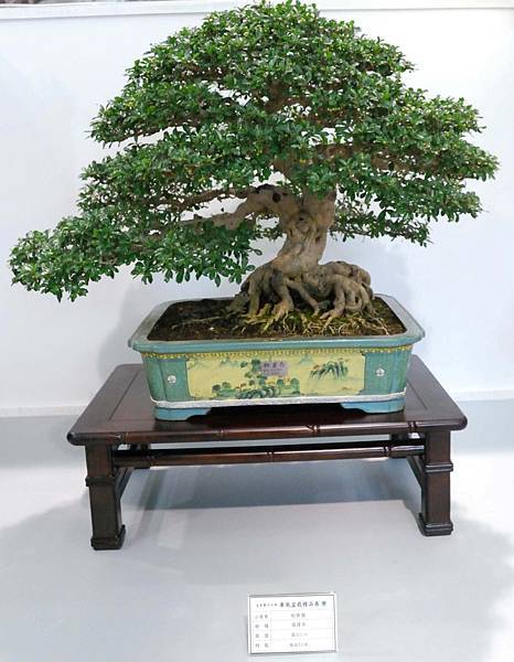 DSC_2626.jpg DSC_2626.jpg