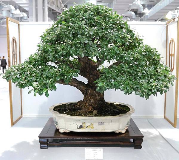 DSC_2628.jpg DSC_2628.jpg