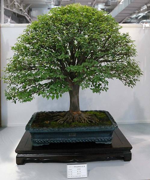 DSC_2631.jpg DSC_2631.jpg