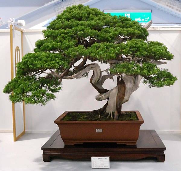 DSC_2632.jpg DSC_2632.jpg