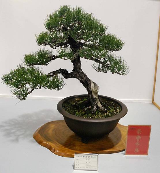 DSC_2634.jpg DSC_2634.jpg