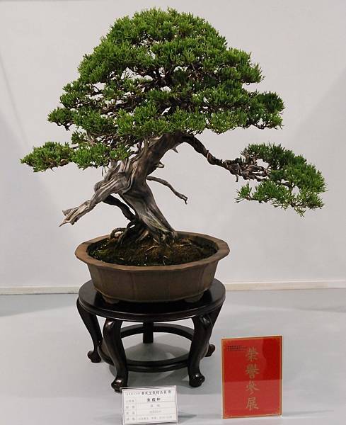 DSC_2636.jpg DSC_2636.jpg