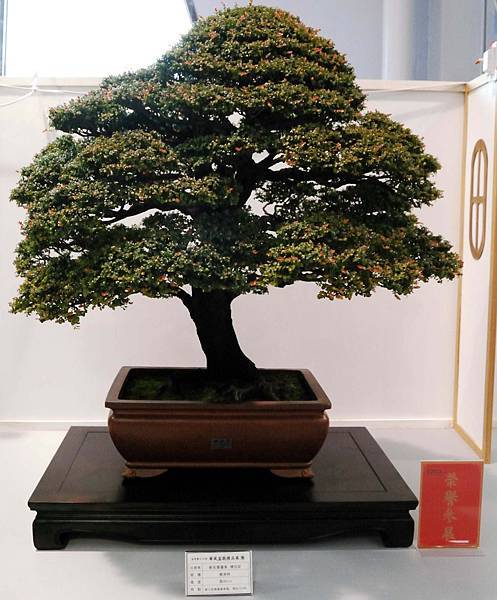 DSC_2637.jpg DSC_2637.jpg