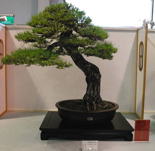 DSC_2639.jpg DSC_2639.jpg