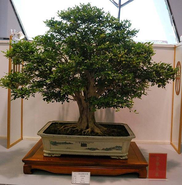 DSC_2638.jpg DSC_2638.jpg