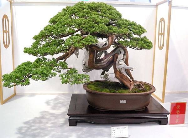 DSC_2641.jpg DSC_2641.jpg