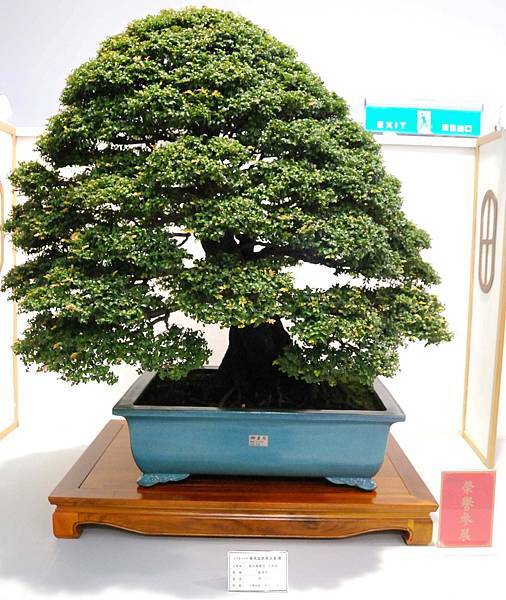 DSC_2640.jpg DSC_2640.jpg