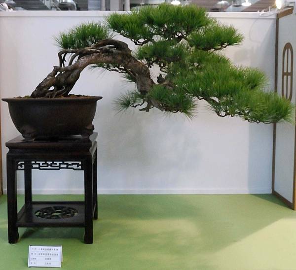 DSC_2644.jpg DSC_2644.jpg