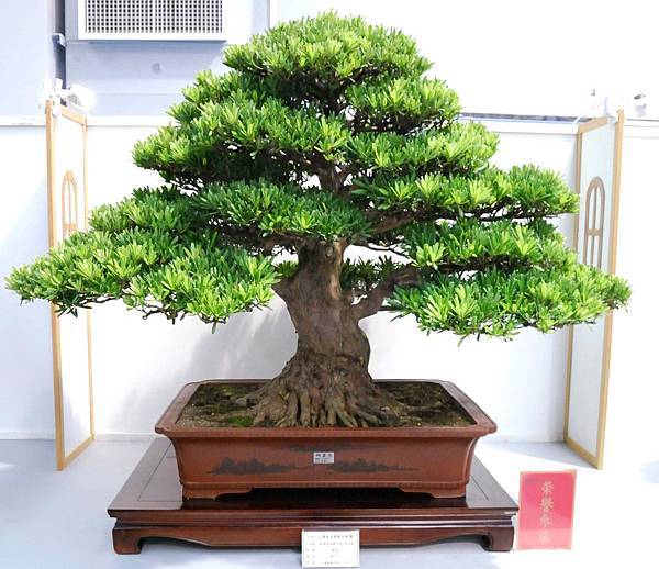 DSC_2642.jpg DSC_2642.jpg