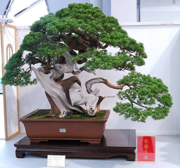 DSC_2643.jpg DSC_2643.jpg