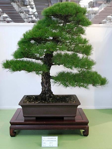 DSC_2645.jpg DSC_2645.jpg