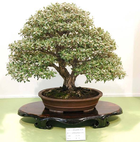 DSC_2648.jpg DSC_2648.jpg