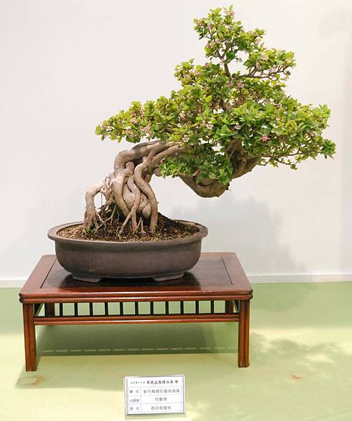 DSC_2647.jpg DSC_2647.jpg