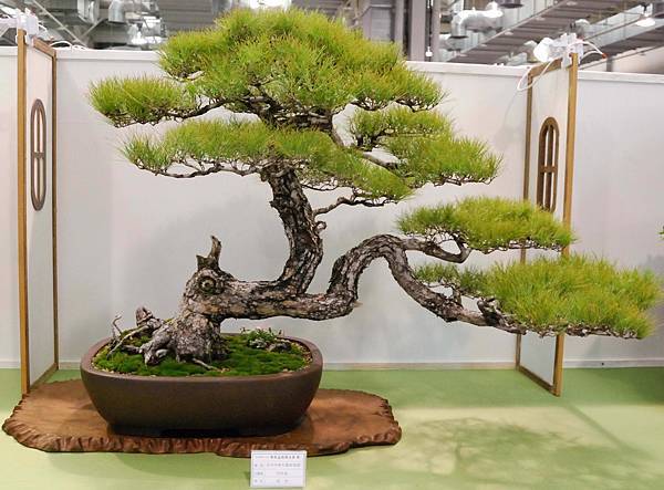 DSC_2649.jpg DSC_2649.jpg