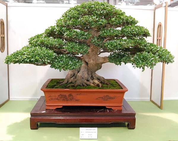 DSC_2650.jpg DSC_2650.jpg