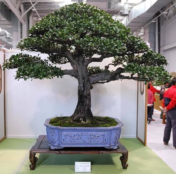 DSC_2653.jpg DSC_2653.jpg