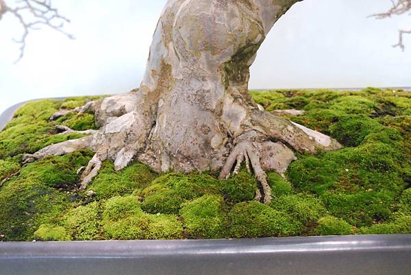 DSC_2655.jpg DSC_2655.jpg