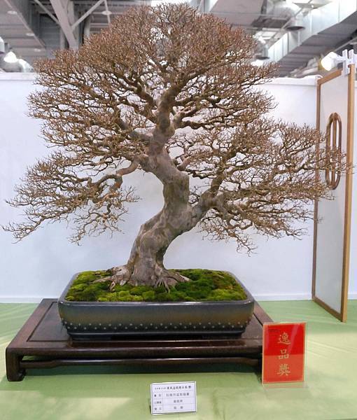 DSC_2654.jpg DSC_2654.jpg