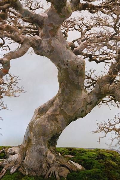 DSC_2656.jpg DSC_2656.jpg