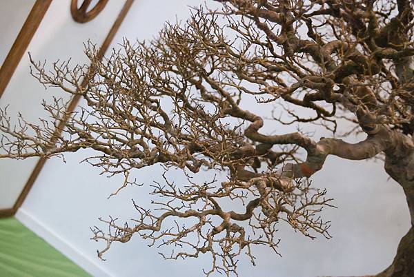 DSC_2657.jpg DSC_2657.jpg