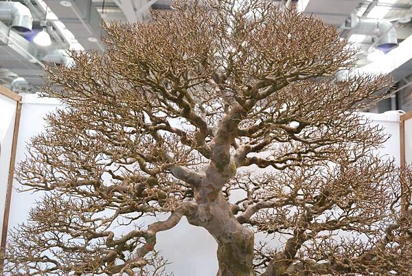 DSC_2658.jpg DSC_2658.jpg