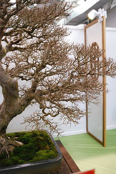 DSC_2659.jpg DSC_2659.jpg