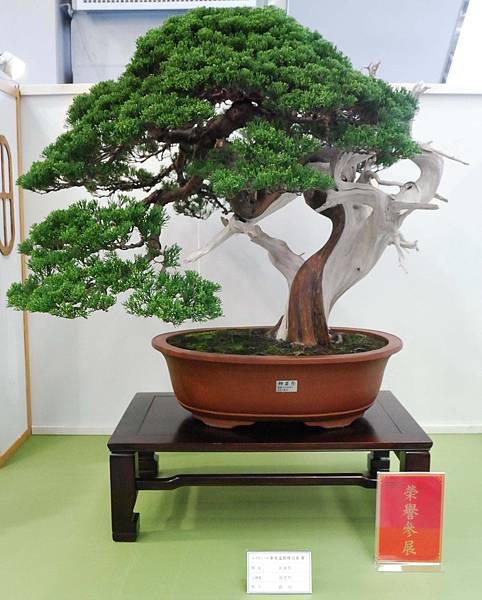 DSC_2661.jpg DSC_2661.jpg