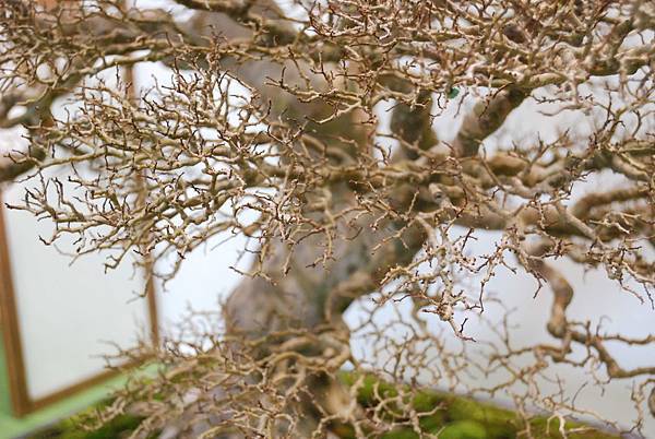 DSC_2660.jpg DSC_2660.jpg