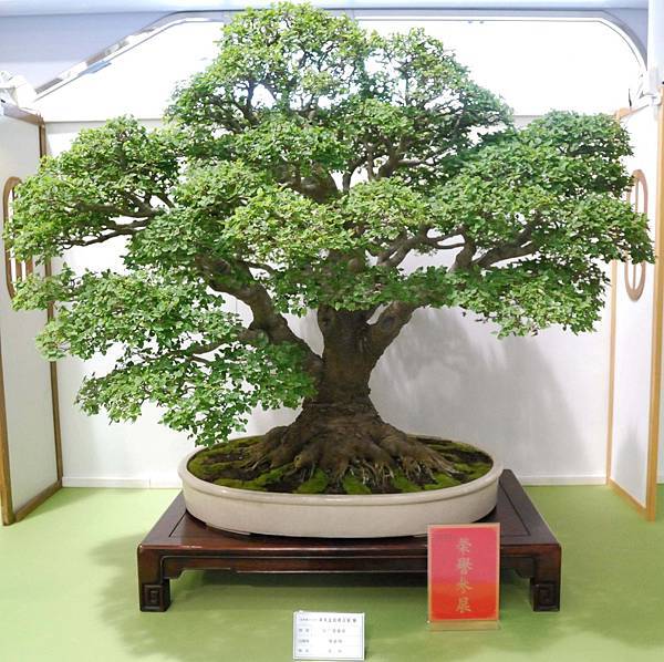 DSC_2663.jpg DSC_2663.jpg