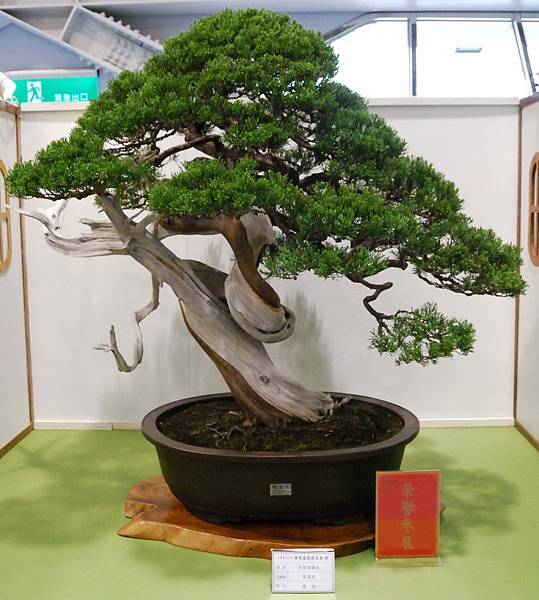 DSC_2664.jpg DSC_2664.jpg