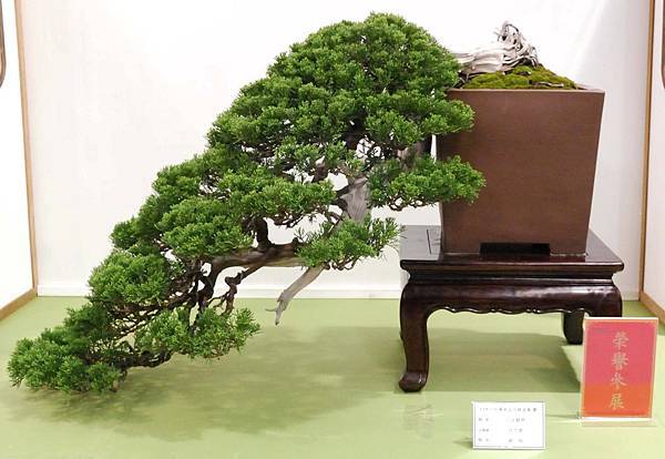 DSC_2668.jpg DSC_2668.jpg