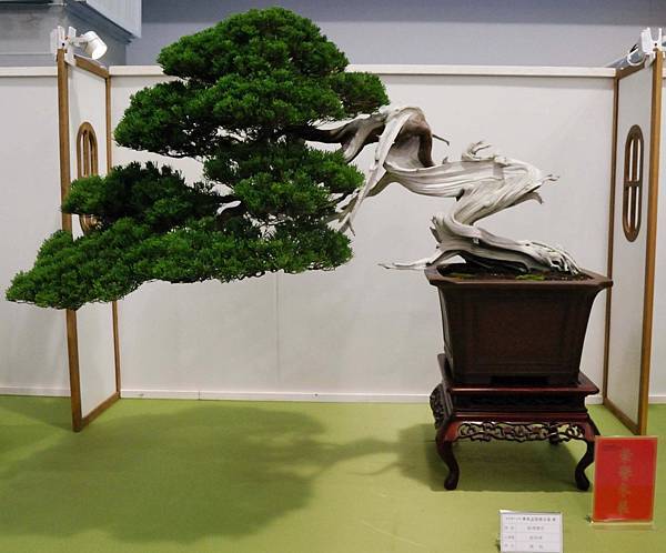 DSC_2666.jpg DSC_2666.jpg