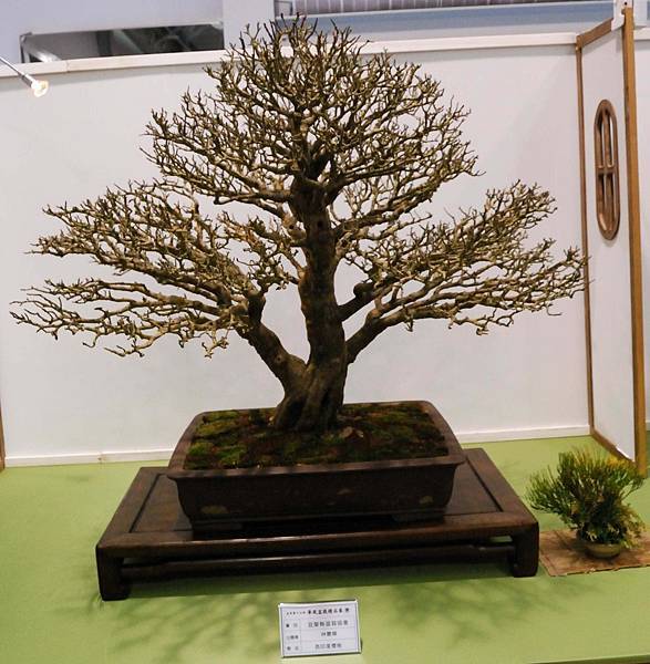 DSC_2673.jpg DSC_2673.jpg