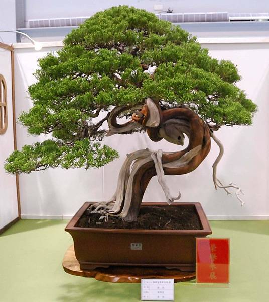 DSC_2672.jpg DSC_2672.jpg