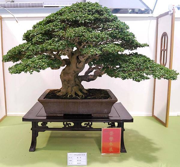 DSC_2671.jpg DSC_2671.jpg