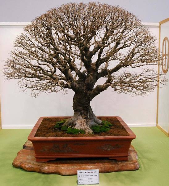 DSC_2674.jpg DSC_2674.jpg