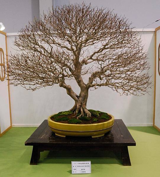 DSC_2675.jpg DSC_2675.jpg