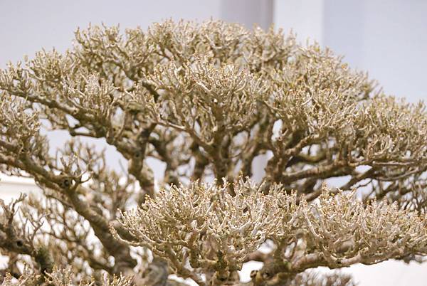 DSC_2680.jpg DSC_2680.jpg