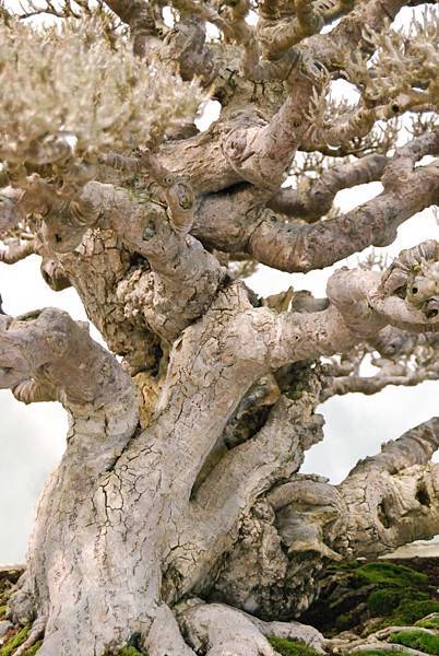 DSC_2679.jpg DSC_2679.jpg