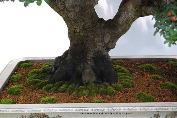 DSC_2683.jpg DSC_2683.jpg