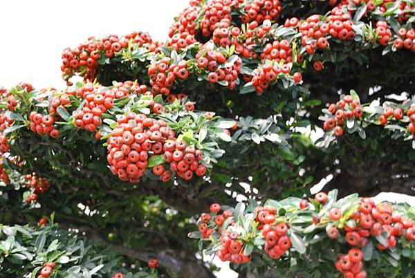 DSC_2685.jpg DSC_2685.jpg