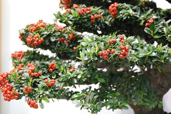 DSC_2687.jpg DSC_2687.jpg