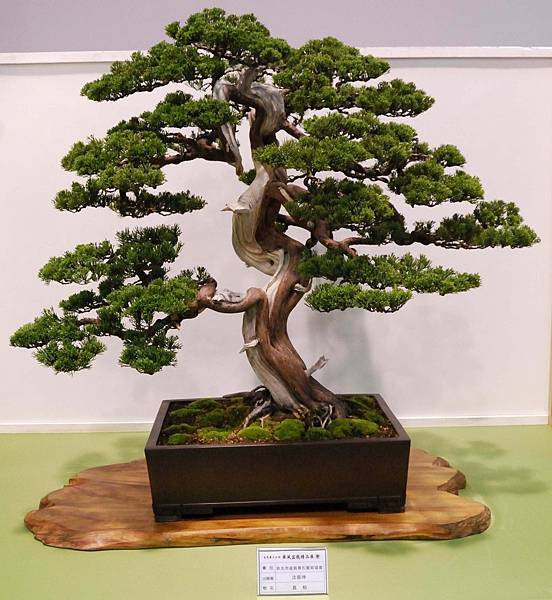 DSC_2688.jpg DSC_2688.jpg