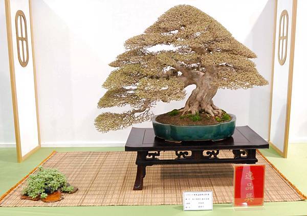 DSC_2690.jpg DSC_2690.jpg