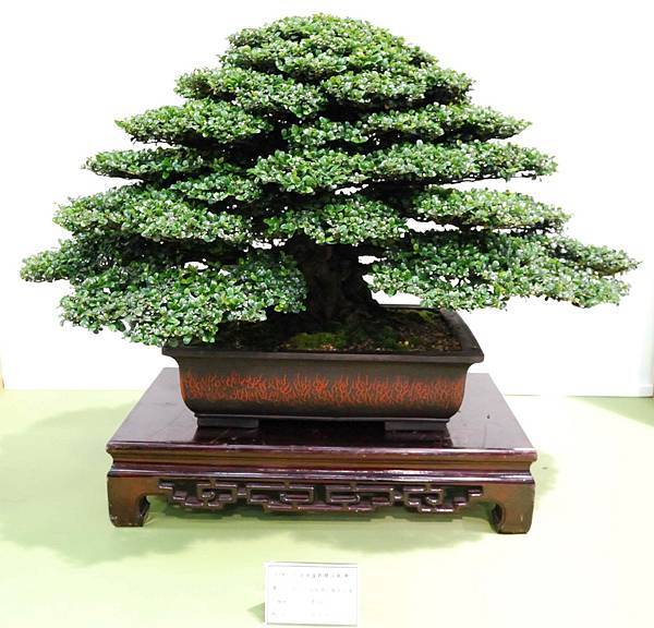 DSC_2689.jpg DSC_2689.jpg