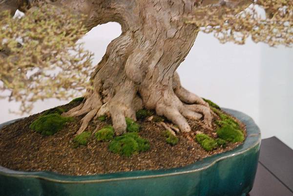 DSC_2691.jpg DSC_2691.jpg