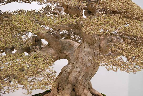 DSC_2692.jpg DSC_2692.jpg