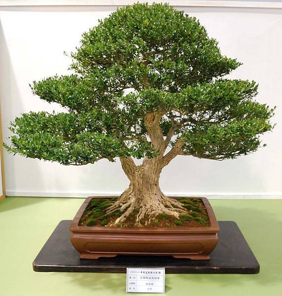 DSC_2697.jpg DSC_2697.jpg