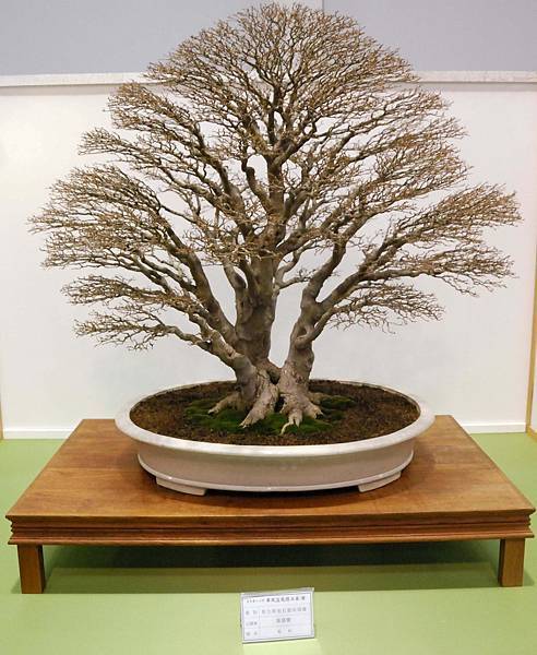 DSC_2698.jpg DSC_2698.jpg