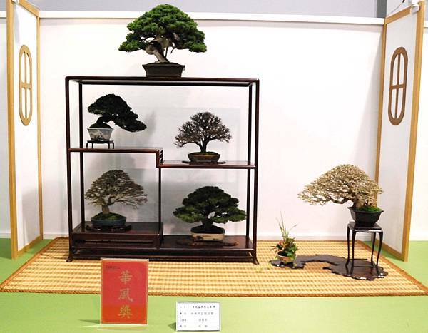 DSC_2699.jpg DSC_2699.jpg